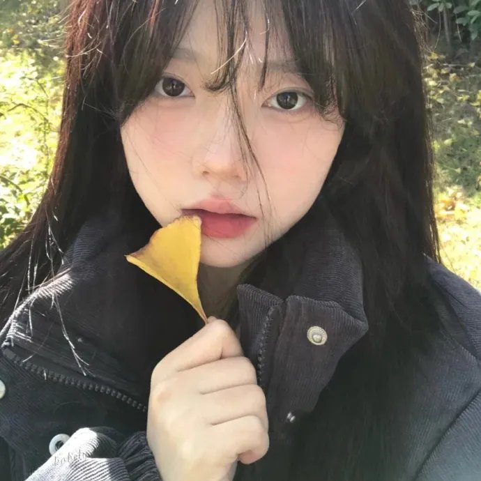 金式森林
