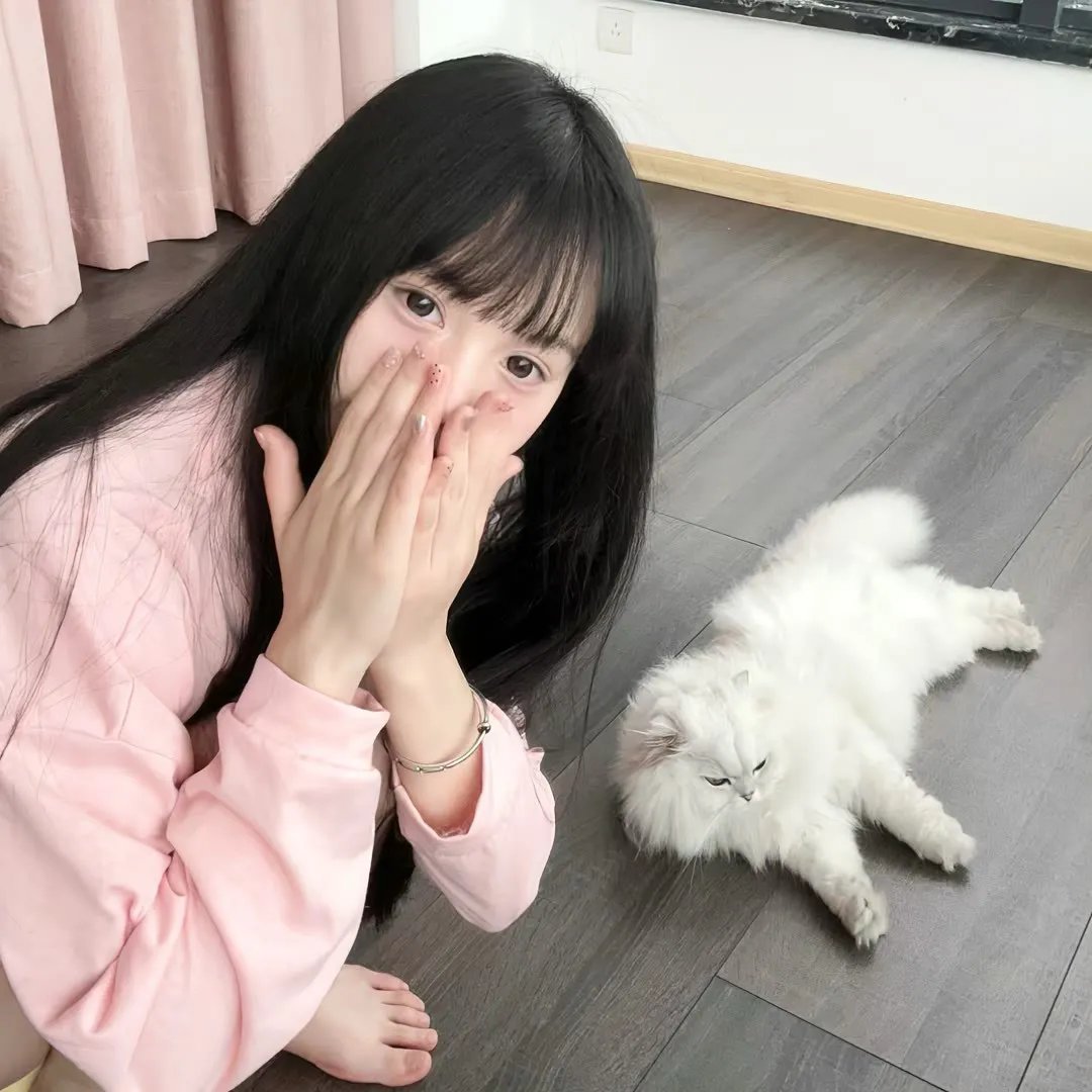 什么鸟日子