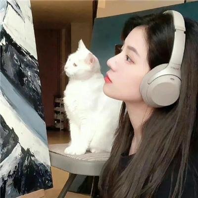 炼情局中局